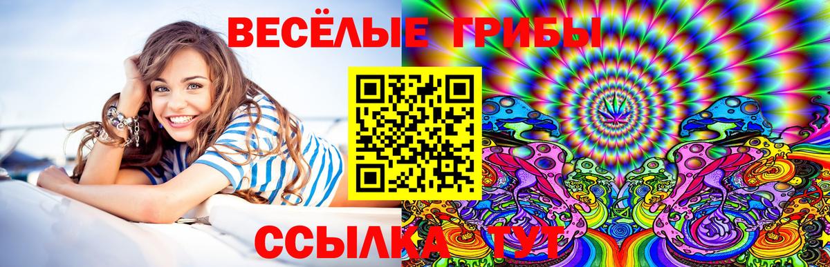 Галлюциногенные грибы ЛСД  Вход с VPN  где найти   Раменское 