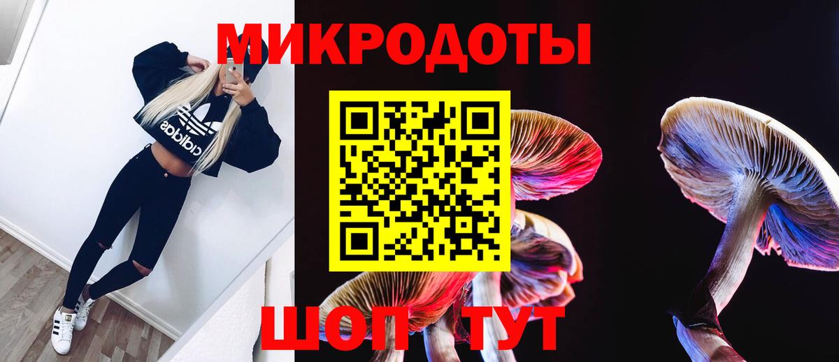 Галлюциногенные грибы мухоморы Раменское